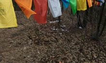 “有梦想了不起啊？” “嗯，了不起！”