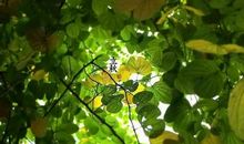 林清玄：秘密的地方