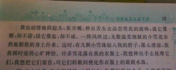 20个漂亮的句子