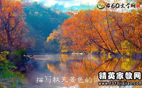 一个很好的部分描述了秋季玉米