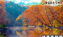 描写秋天玉米的好段