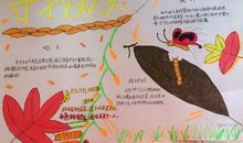 描写枫叶的优美语段句子