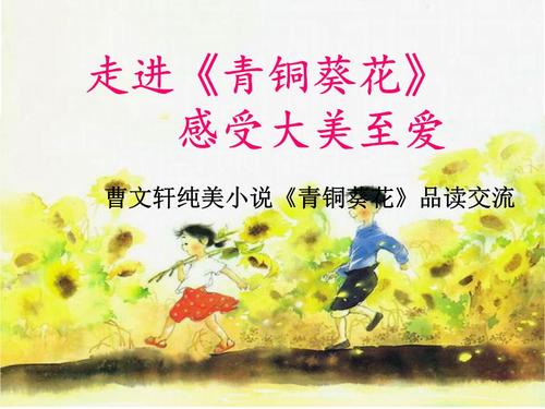 关于阅读《青铜向日葵》的思考