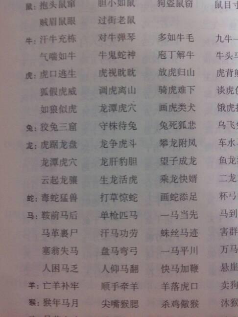 关于动物的成语