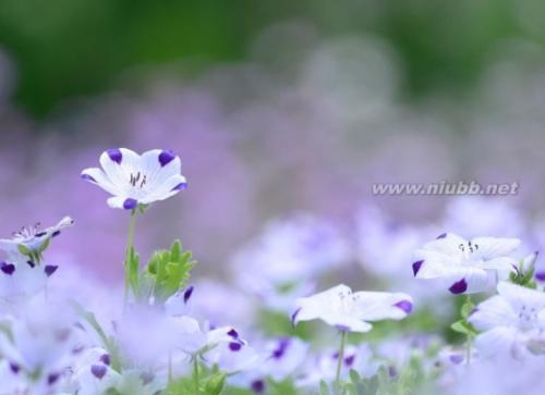 20句经典人生感悟