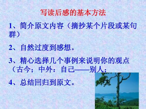 看完《快速阅读》