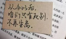 读《我们仨》有感