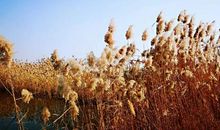 让人豁然开朗的话