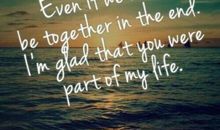 关于奋斗的英文句子