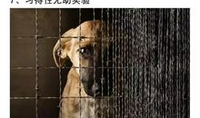 人类无法抗拒的10种心理