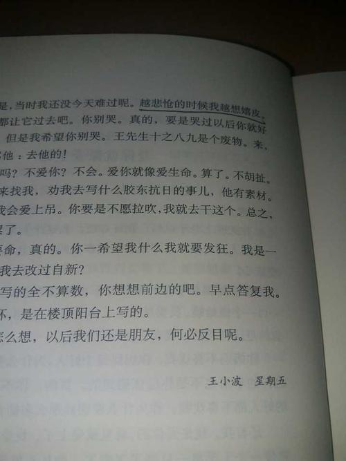 王小波的经典句子