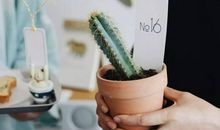 牛逼的永远是向上，不是学习