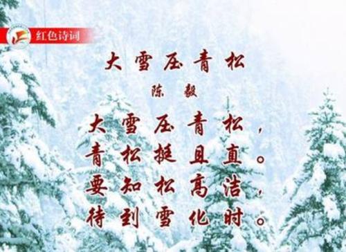 描述青松的句子