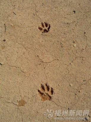 韩少功：疑似足迹