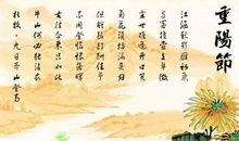 读论语有感300字