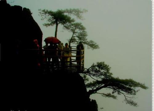 社交戏剧阅读600字