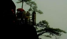 社戏读后感600字