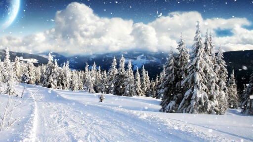 关于冬天的习语