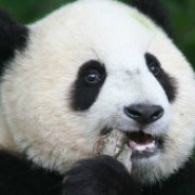 刘新武：快说好话