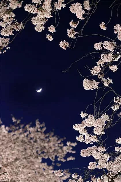 经典语录：独自一人是上帝在提醒您，是时候充实自己了