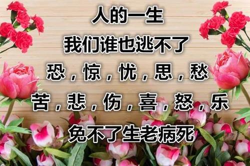 关于生与死的句子