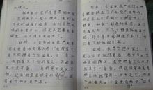 我的小金鱼作文500字