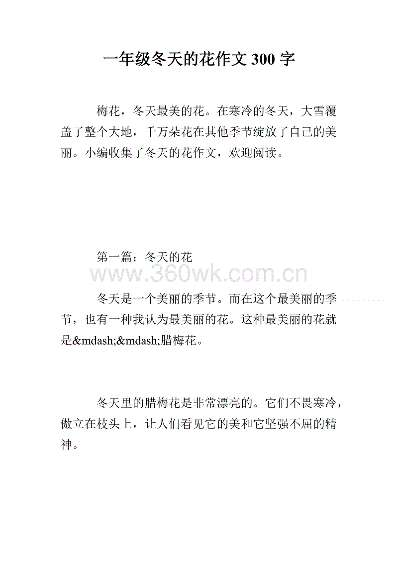 我爱冬天作文300字