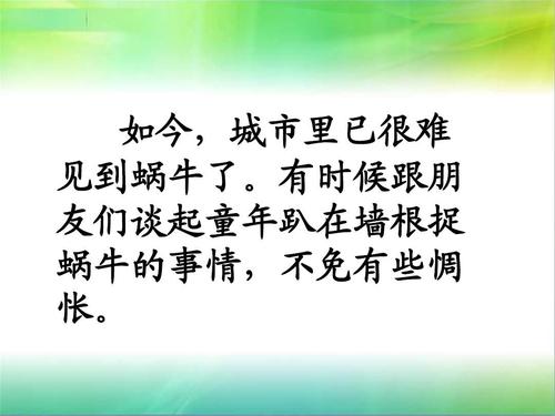 捉蜗牛作文500个单词