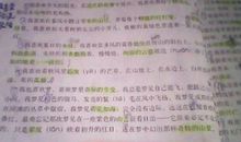 我喜欢小狗作文350字