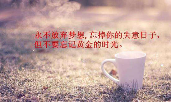 奋斗励志句子，努力奋斗励志句子