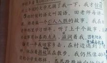 我爱冬天作文200字