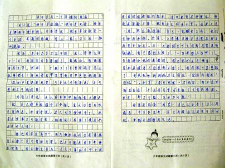 我喜欢自己的作文