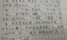 我的小发明作文200字