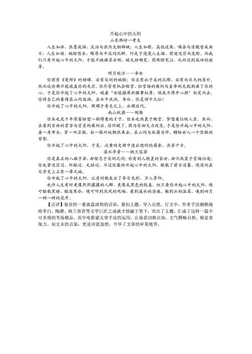 太阳在心脏组成