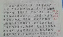 三年级作文自我介绍300字
