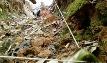 野外生存作文400字