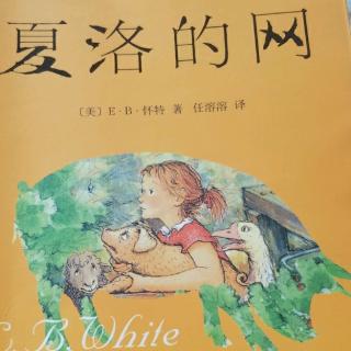 夏洛特的净缩写