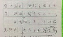 心中的阳光作文