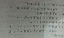 我和动物的故事作文