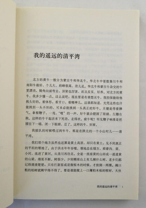 我对遥远的清平湾的想法