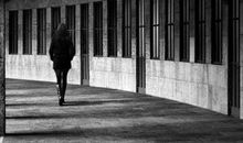 自由是独立，不依附，不恐惧