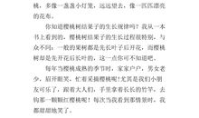 我爱小树作文300字