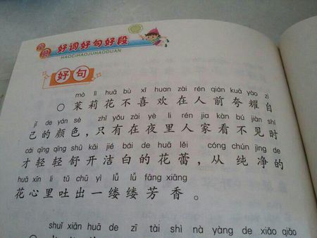 我爱你雏菊五年级作文