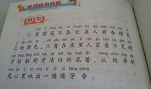 我爱你菊花五年级作文