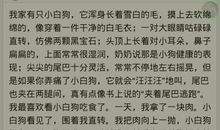 我的小狗作文250字