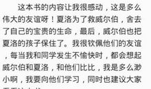 爱是一切的答案读后感