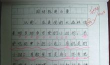 父亲的爱作文600字