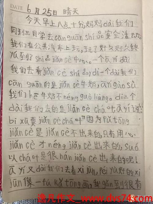 我爱小叔的作文