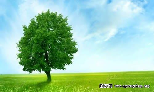 我爱小树组成400字