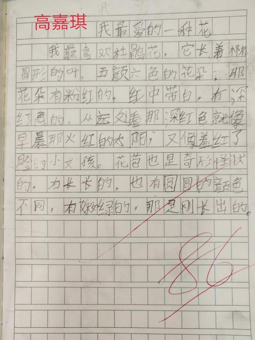 我喜欢花400字的作品
